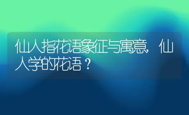 仙人指花语象征与寓意,仙人学的花语？ | 养殖科普