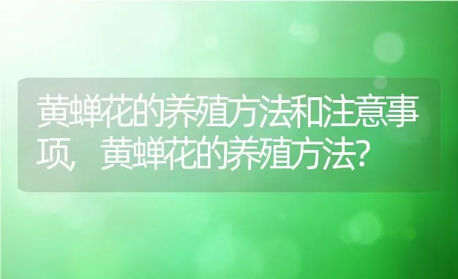 黄蝉花的养殖方法和注意事项,黄蝉花的养殖方法？ | 养殖科普