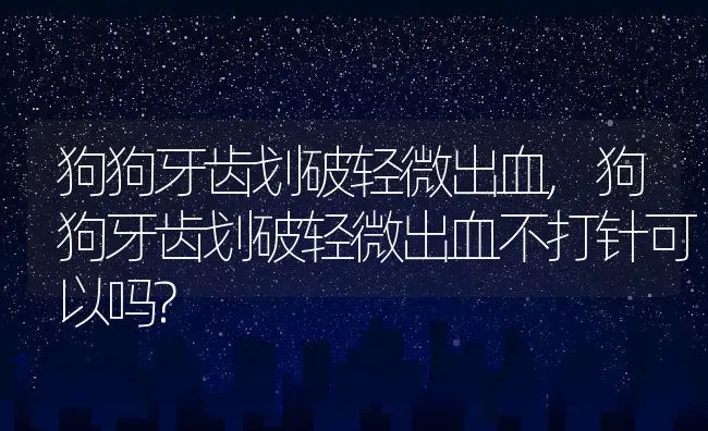 狗狗牙齿划破轻微出血,狗狗牙齿划破轻微出血不打针可以吗? | 养殖资料