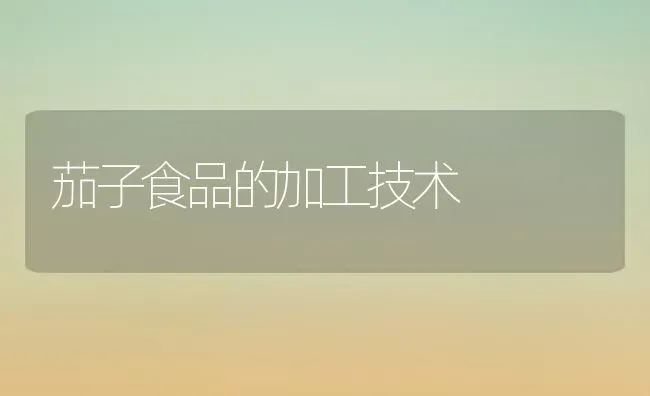 温室西葫芦压蔓栽培产量高 | 养殖技术大全