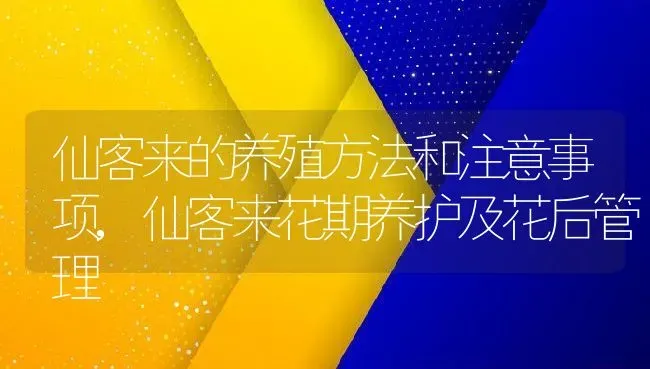 仙客来的养殖方法和注意事项,仙客来花期养护及花后管理 | 养殖学堂