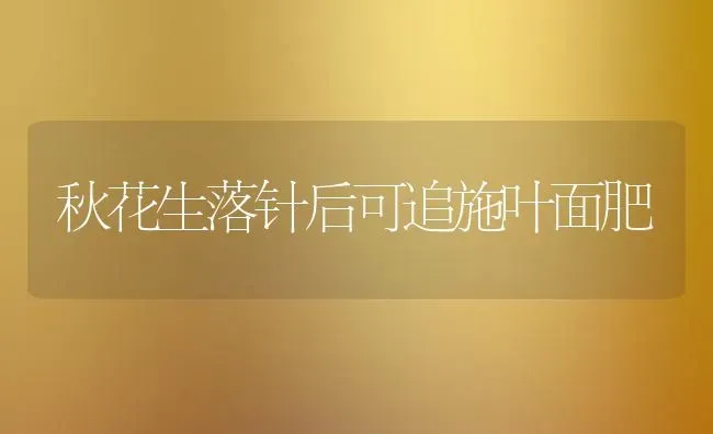 秋花生落针后可追施叶面肥 | 养殖知识