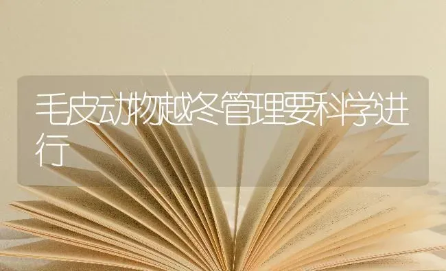 毛皮动物越冬管理要科学进行 | 养殖技术大全