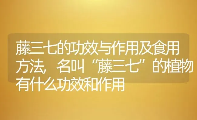藤三七的功效与作用及食用方法,名叫“藤三七”的植物有什么功效和作用 | 养殖学堂