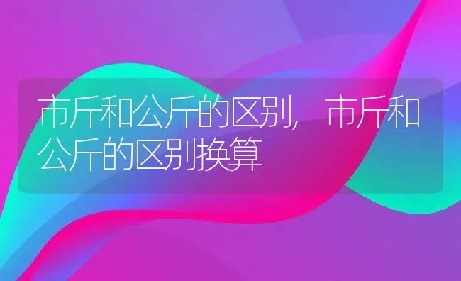 市斤和公斤的区别,市斤和公斤的区别换算 | 养殖科普