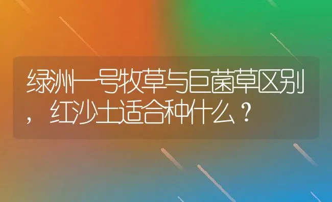 绿洲一号牧草与巨菌草区别,红沙土适合种什么？ | 养殖科普