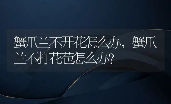 蟹爪兰不开花怎么办,蟹爪兰不打花苞怎么办？ | 养殖学堂