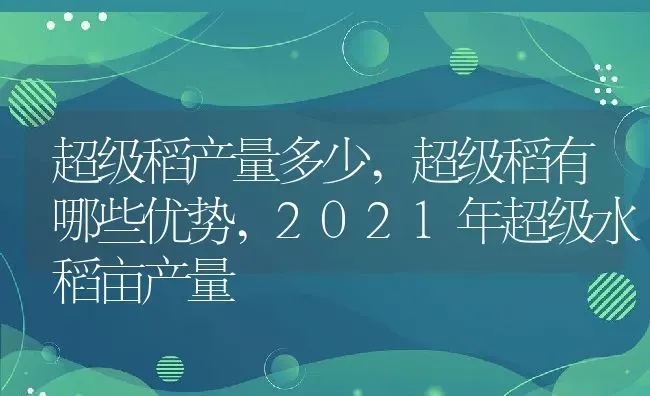 超级稻产量多少,超级稻有哪些优势,2021年超级水稻亩产量 | 养殖学堂