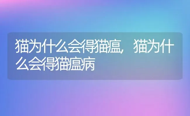 猫为什么会得猫瘟,猫为什么会得猫瘟病 | 养殖资料