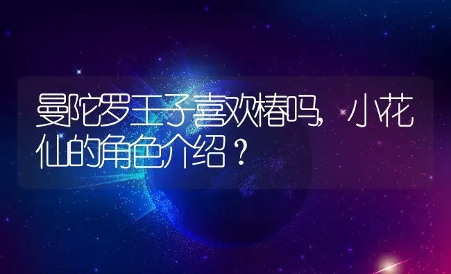 曼陀罗王子喜欢椿吗,小花仙的角色介绍？ | 养殖学堂