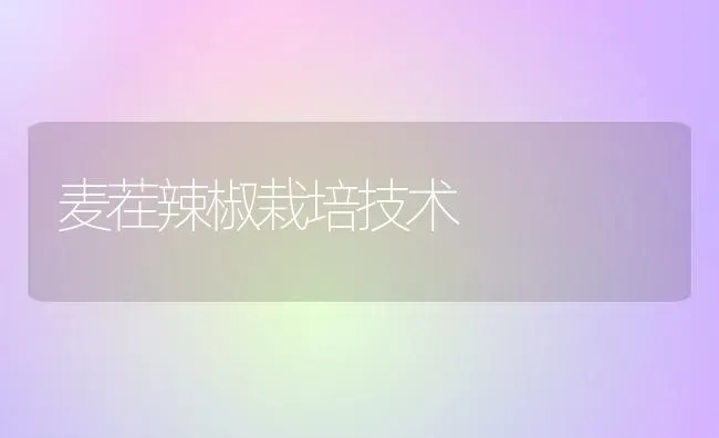 麦茬辣椒栽培技术 | 养殖技术大全