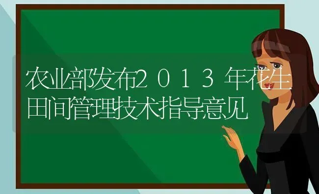 农业部发布2013年花生田间管理技术指导意见 | 养殖知识