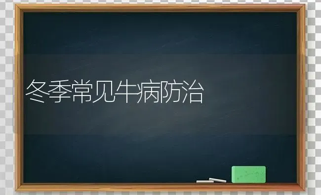 冬季常见牛病防治 | 养殖技术大全