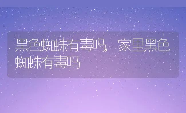 黑色蜘蛛有毒吗,家里黑色蜘蛛有毒吗 | 养殖科普