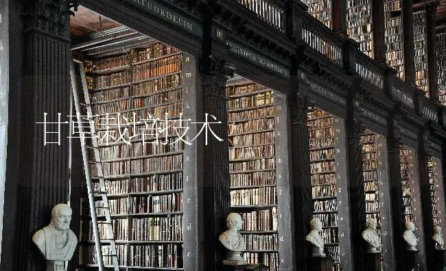 甘草栽培技术 | 养殖技术大全