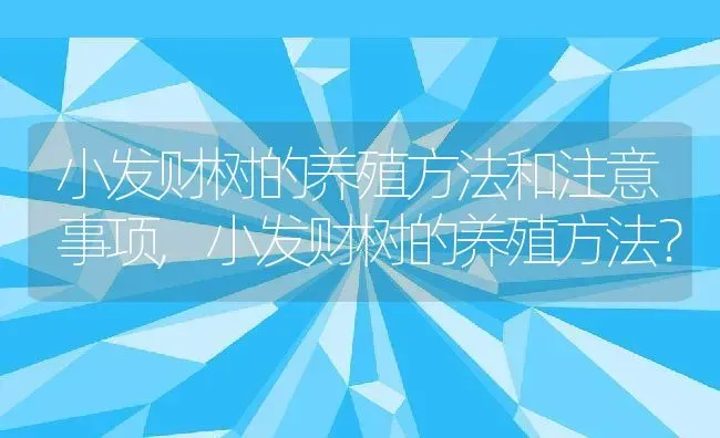 小发财树的养殖方法和注意事项,小发财树的养殖方法？ | 养殖学堂