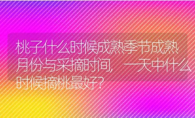 桃子什么时候成熟季节成熟月份与采摘时间,一天中什么时候摘桃最好？ | 养殖科普