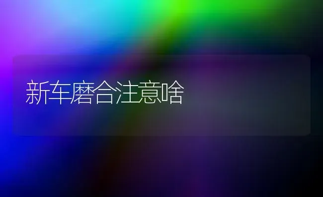 新车磨合注意啥 | 养殖技术大全