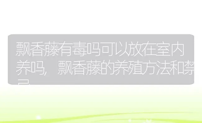 飘香藤有毒吗可以放在室内养吗,飘香藤的养殖方法和禁忌 | 养殖学堂