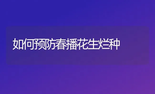 如何预防春播花生烂种 | 养殖知识