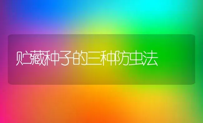 贮藏种子的三种防虫法 | 养殖技术大全