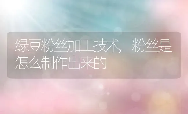 绿豆粉丝加工技术,粉丝是怎么制作出来的 | 养殖学堂