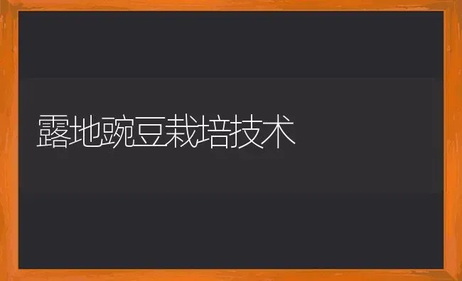 露地豌豆栽培技术 | 养殖知识