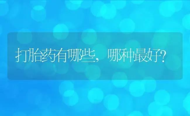 打胎药有哪些,哪种最好? | 养殖科普