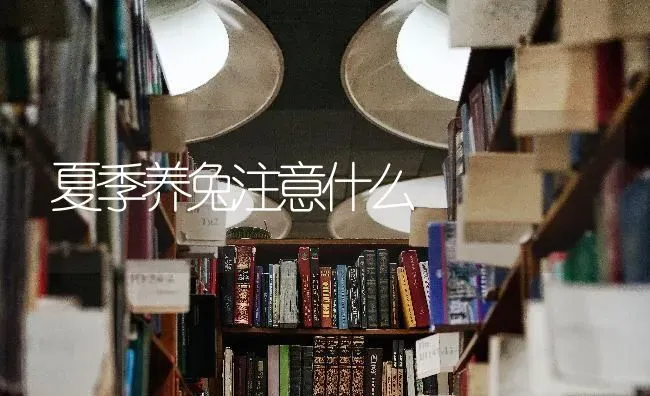 梅花繁殖技术 | 养殖技术大全