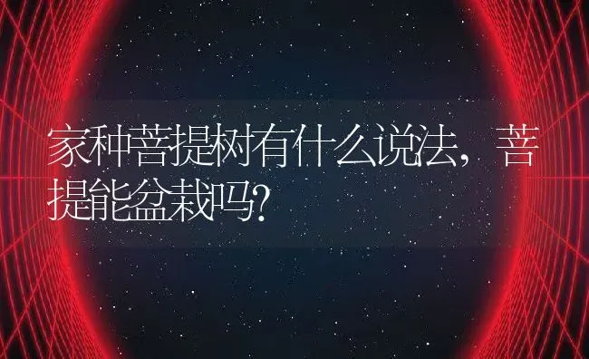 家种菩提树有什么说法,菩提能盆栽吗？ | 养殖科普