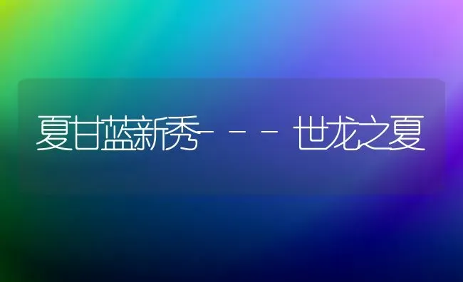 夏甘蓝新秀---世龙之夏 | 养殖技术大全