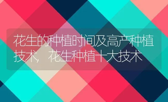 花生的种植时间及高产种植技术,花生种植十大技术 | 养殖学堂