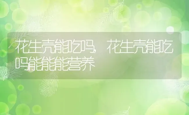 花生壳能吃吗,花生壳能吃吗能能能营养 | 养殖科普