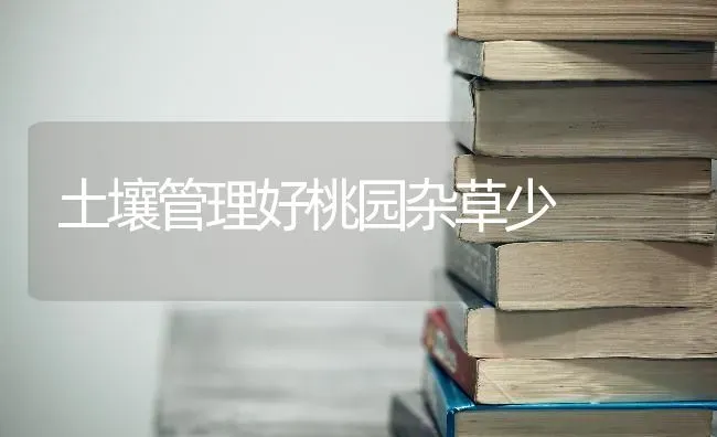 土壤管理好桃园杂草少 | 养殖技术大全