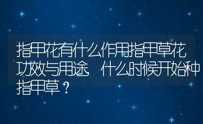 指甲花有什么作用指甲草花功效与用途,什么时候开始种指甲草？ | 养殖科普