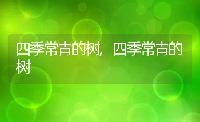 四季常青的树,四季常青的树 | 养殖科普