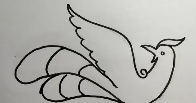凤凰怎么画简单又漂亮,怎样画凤凰的简笔画？