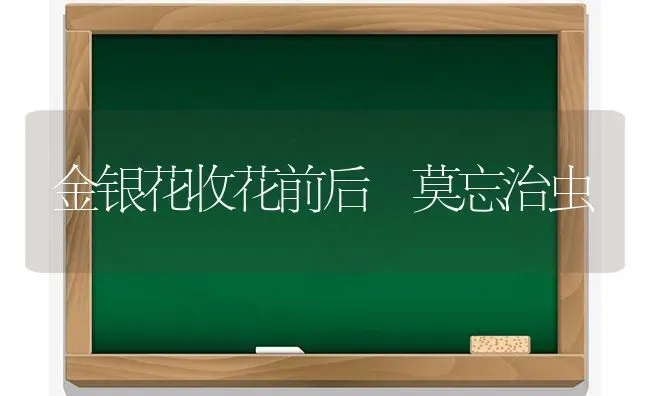 金银花收花前后 莫忘治虫 | 养殖知识