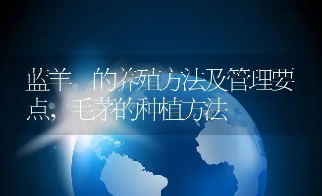 蓝羊芧的养殖方法及管理要点,毛茅的种植方法 | 养殖学堂
