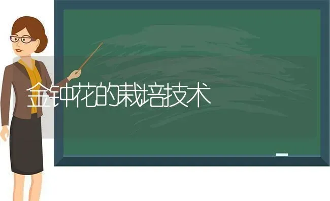 金钟花的栽培技术 | 养殖技术大全