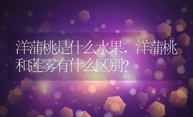 洋蒲桃是什么水果,洋蒲桃和莲雾有什么区别？ | 养殖科普