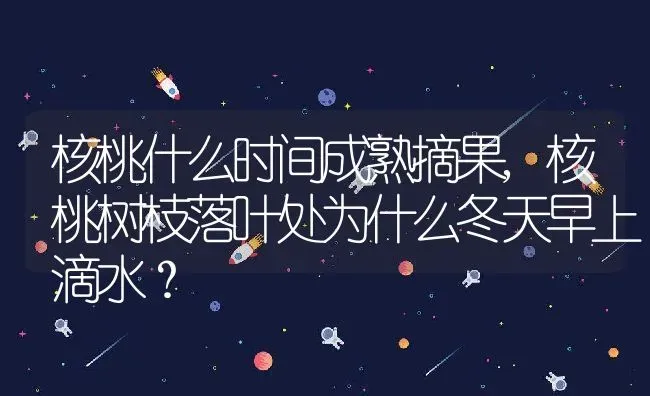 核桃什么时间成熟摘果,核桃树枝落叶处为什么冬天早上滴水？ | 养殖科普