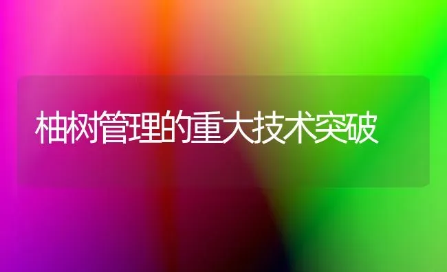 柚树管理的重大技术突破 | 养殖技术大全