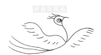 凤凰怎么画简单又漂亮,怎样画凤凰的简笔画？