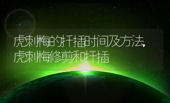 虎刺梅的扦插时间及方法,虎刺梅修剪和扦插 | 养殖学堂