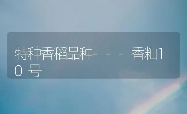 特种香稻品种---香籼10号 | 养殖技术大全