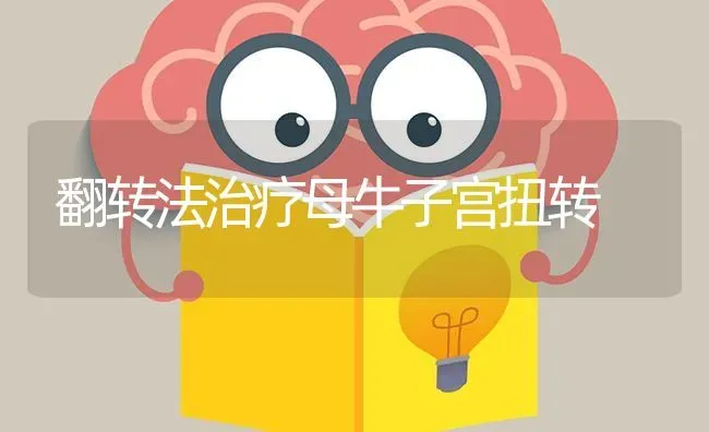翻转法治疗母牛子宫扭转 | 养殖技术大全