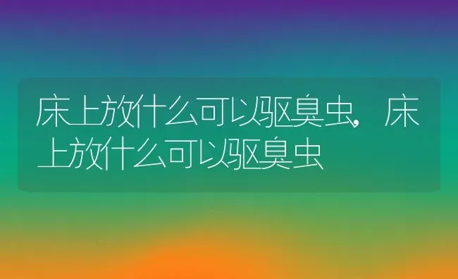 床上放什么可以驱臭虫,床上放什么可以驱臭虫 | 养殖科普