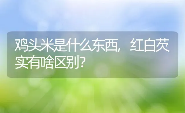 狗天生会游泳吗,狗天生会游泳吗最佳答案 | 养殖科普