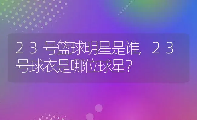 23号篮球明星是谁,23号球衣是哪位球星？ | 养殖科普